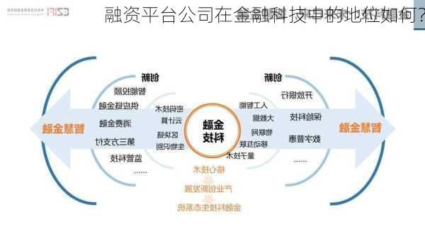 融资平台公司在金融科技中的地位如何？