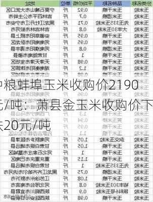 中粮蚌埠玉米收购价2190元/吨：萧县金玉米收购价下跌20元/吨