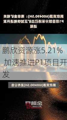 鹏欣资源涨5.21% 加速推进P1项目开发