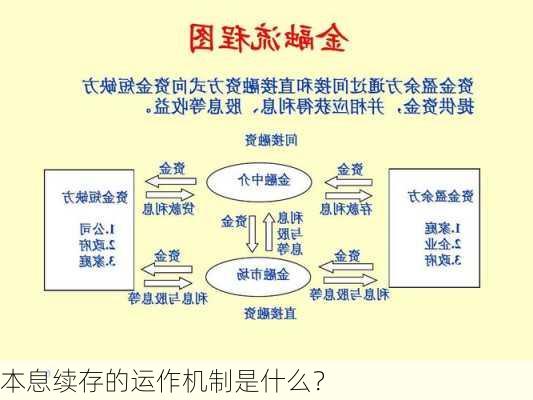 本息续存的运作机制是什么？