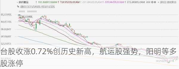 台股收涨0.72%创历史新高，航运股强势，阳明等多股涨停