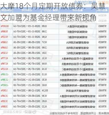 大摩18个月定期开放债券：吴慧文加盟为基金经理带来新视角