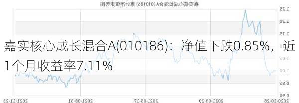 嘉实核心成长混合A(010186)：净值下跌0.85%，近1个月收益率7.11%