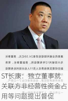 ST长康：独立董事就关联方非经营性资金占用等问题提出督促