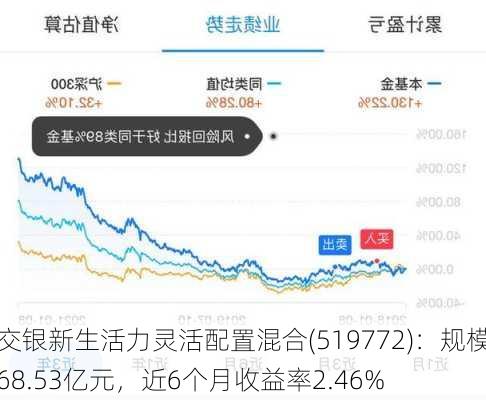 交银新生活力灵活配置混合(519772)：规模68.53亿元，近6个月收益率2.46%