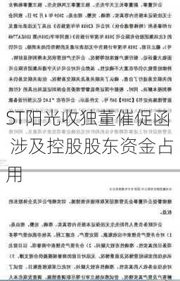 ST阳光收独董催促函 涉及控股股东资金占用