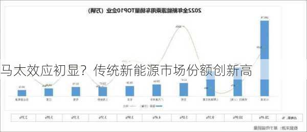 马太效应初显？传统新能源市场份额创新高