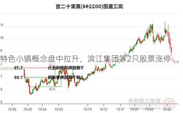 特色小镇概念盘中拉升，滨江集团等2只股票涨停