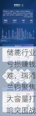 储能行业亏损赚钱难，瑞浦兰钧聚焦大容量打响突围战