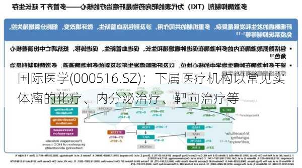 国际医学(000516.SZ)：下属医疗机构以常见实体瘤的化疗、内分泌治疗、靶向治疗等