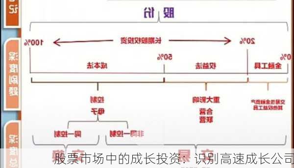 股票市场中的成长投资：识别高速成长公司