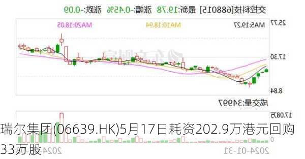 瑞尔集团(06639.HK)5月17日耗资202.9万港元回购33万股