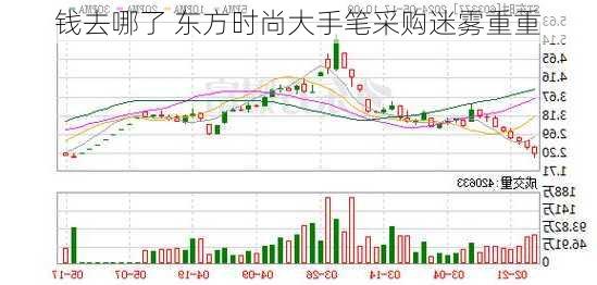 钱去哪了 东方时尚大手笔采购迷雾重重