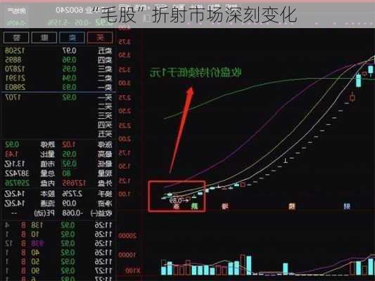 “毛股”折射市场深刻变化