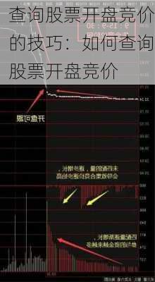 查询股票开盘竞价的技巧：如何查询股票开盘竞价