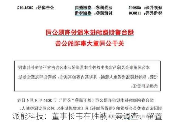 派能科技：董事长韦在胜被立案调查、留置