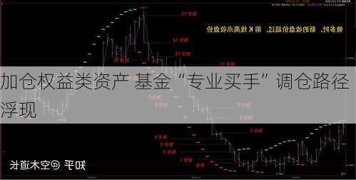 加仓权益类资产 基金“专业买手”调仓路径浮现