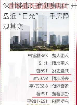 深圳楼市：有新房项目开盘近“日光” 二手房静观其变