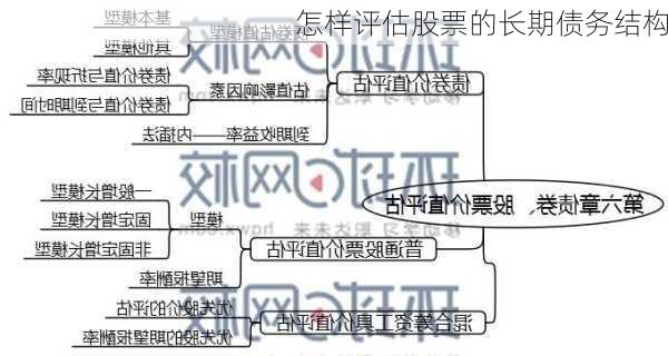 怎样评估股票的长期债务结构