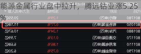 能源金属行业盘中拉升，腾远钴业涨5.25%
