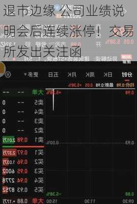 退市边缘 公司业绩说明会后连续涨停！交易所发出关注函