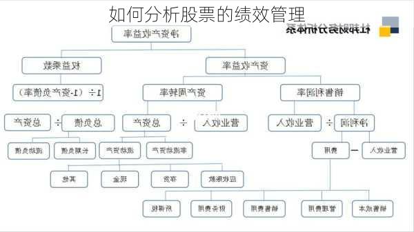 如何分析股票的绩效管理