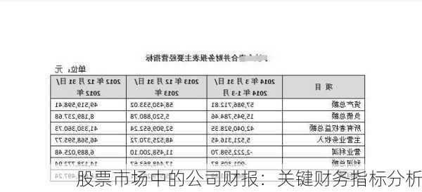 股票市场中的公司财报：关键财务指标分析