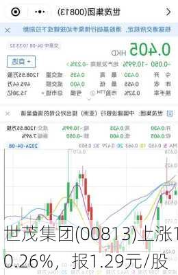 世茂集团(00813)上涨10.26%，报1.29元/股