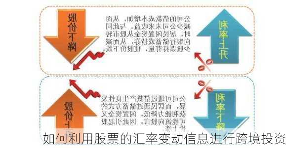 如何利用股票的汇率变动信息进行跨境投资