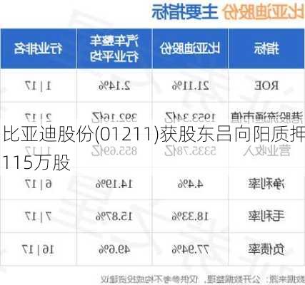 比亚迪股份(01211)获股东吕向阳质押115万股