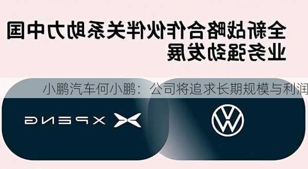 小鹏汽车何小鹏：公司将追求长期规模与利润