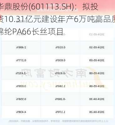 华鼎股份(601113.SH)：拟投资10.31亿元建设年产6万吨高品质锦纶PA66长丝项目