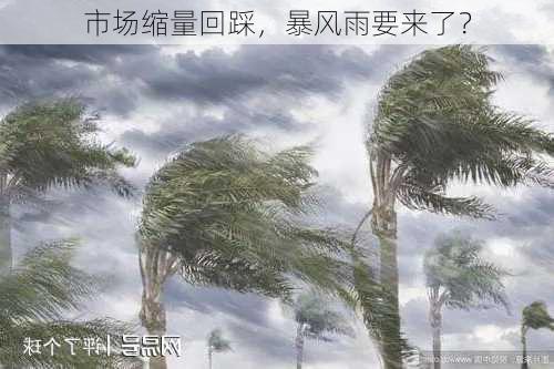 市场缩量回踩，暴风雨要来了？