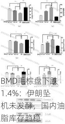 BMD毛棕盘下跌1.4%：伊朗坠机未发酵，国内油脂库存趋稳