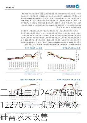 工业硅主力2407偏强收12270元：现货企稳双硅需求未改善