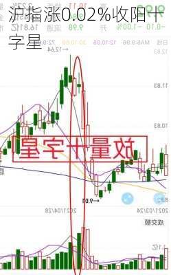 沪指涨0.02%收阳十字星