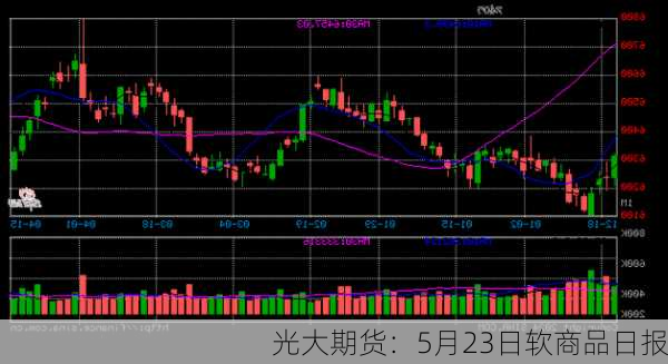 光大期货：5月23日软商品日报