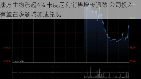 康方生物涨超4% 卡度尼利销售增长强劲 公司投入有望在多领域加速兑现