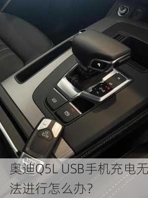 奥迪Q5L USB手机充电无法进行怎么办？