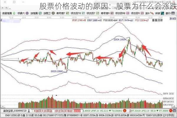 股票价格波动的原因：股票为什么会涨跌