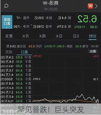 罕见普跌！巨头突发
