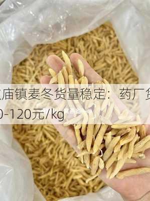 欧庙镇麦冬货量稳定：药厂货110-120元/kg