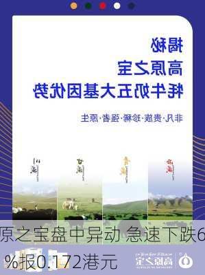 高原之宝盘中异动 急速下跌6.01%报0.172港元