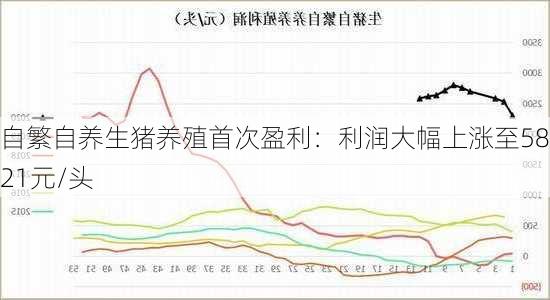 自繁自养生猪养殖首次盈利：利润大幅上涨至58.21元/头