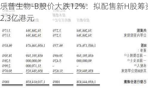 乐普生物-B股价大跌12%：拟配售新H股筹资2.3亿港元