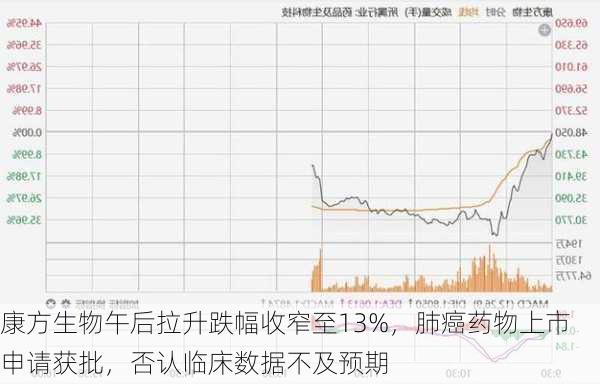 康方生物午后拉升跌幅收窄至13%，肺癌药物上市申请获批，否认临床数据不及预期