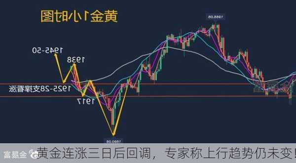 黄金连涨三日后回调，专家称上行趋势仍未变！