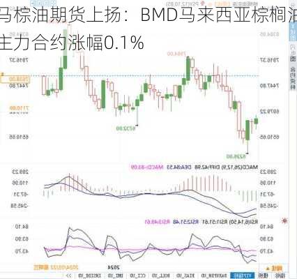 马棕油期货上扬：BMD马来西亚棕榈油主力合约涨幅0.1%