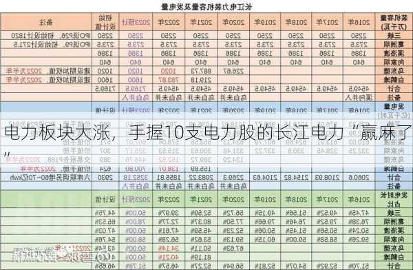 电力板块大涨，手握10支电力股的长江电力“赢麻了”