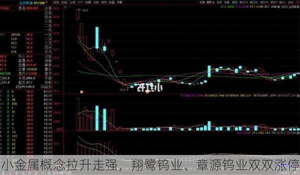 小金属概念拉升走强，翔鹭钨业、章源钨业双双涨停